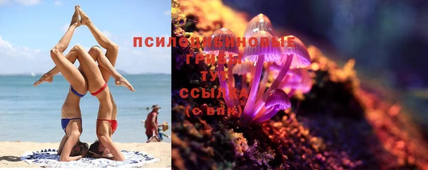 spice Алексеевка