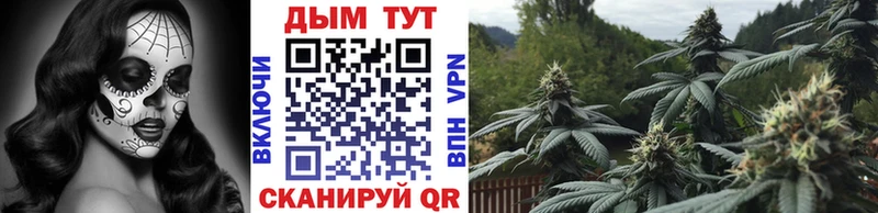 ссылка на мегу tor  Нестеров  Бошки Шишки планчик  где продают  